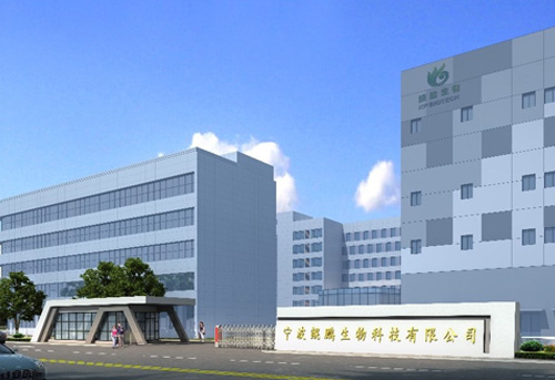 宁波奇异果体育