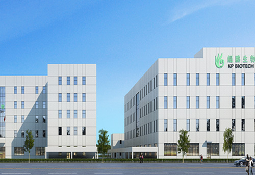 苏州奇异果体育