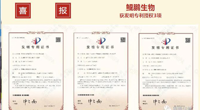 奇异果体育生物 | 核心平台技术获得中国发明专利